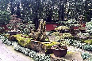 Chendgu 013